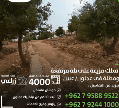 مزرعة مستقلة للبيع في عجلون عبين بمساحة 4000متر